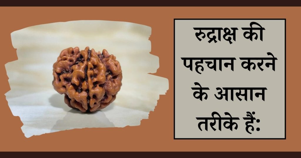 रुद्राक्ष की पहचान करने के आसान तरिके