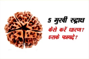 5 मुखी रुद्राक्ष के आयुर्वेदिक औषधि फायदे(5 mukhi rudraksha benefits)