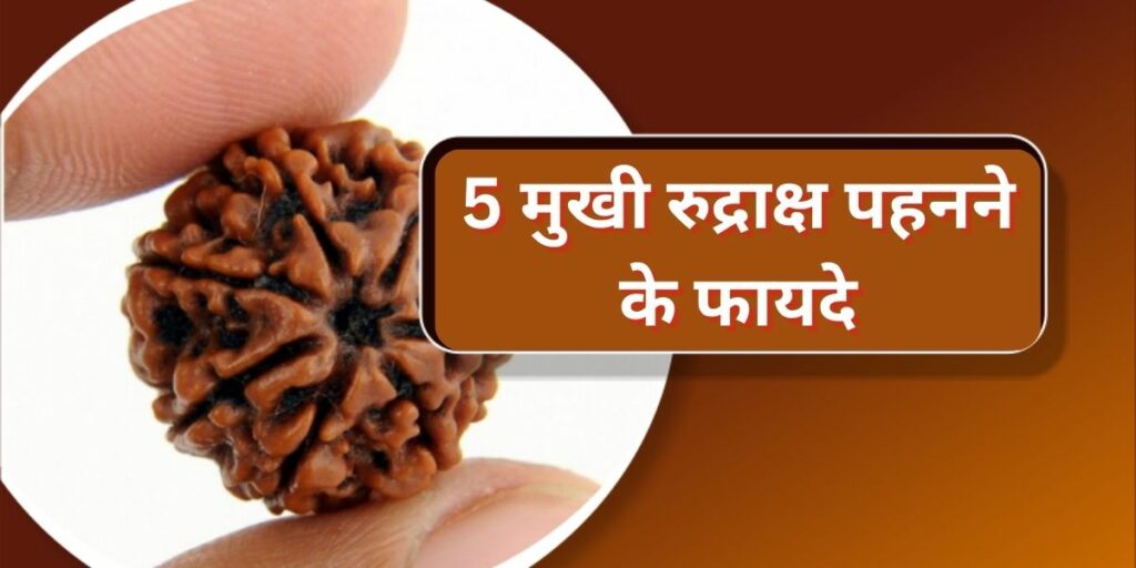5 मुखी रुद्राक्ष पहनने के फायदे(5 mukhi rudraksha benefits)