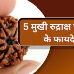 5 मुखी रुद्राक्ष पहनने के फायदे(5 mukhi rudraksha benefits)