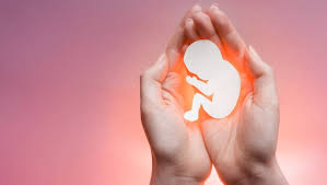 गर्भपात की समस्या के लिए(7 mukhi rudraksha benefits)
