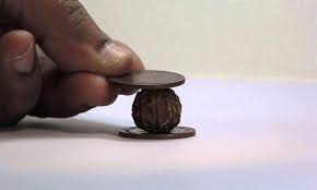 सिक्कों द्वारा रुद्राक्ष की पहचान